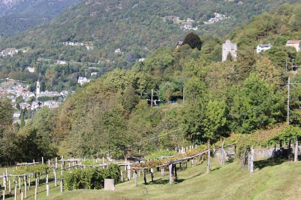 la casa nel prunent Trontano Esterno foto