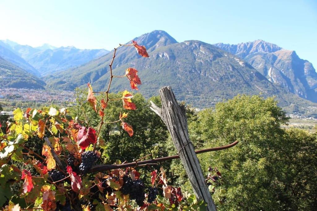 la casa nel prunent Trontano Esterno foto
