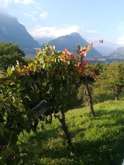 la casa nel prunent Trontano Esterno foto